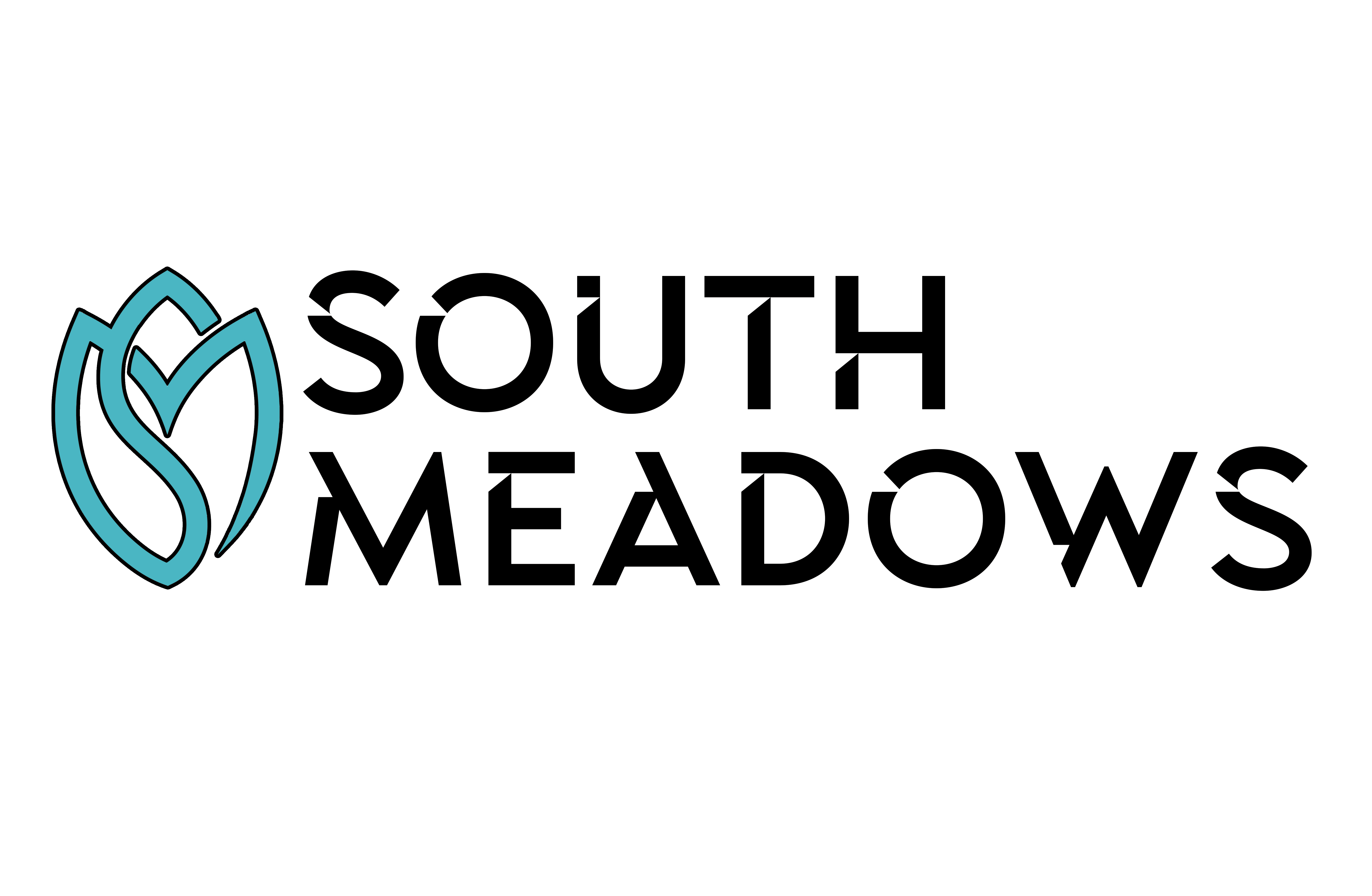 A logo with the words "South Meadows" and a stylized tree leaf.